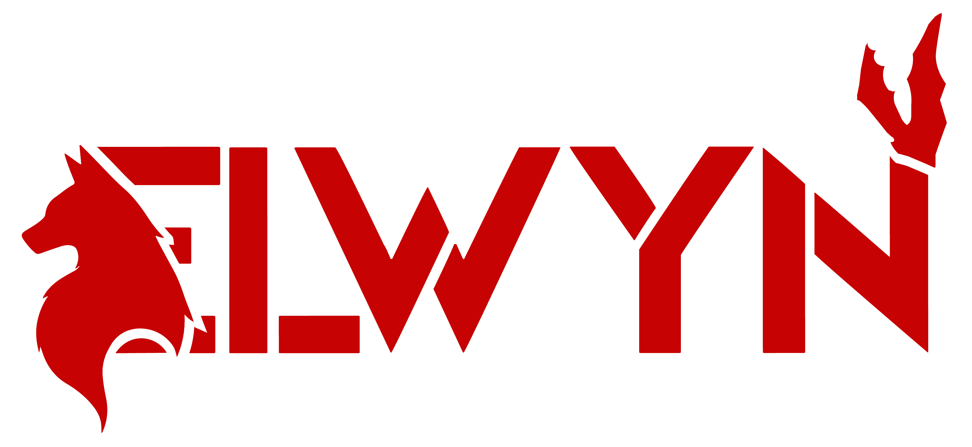 Elwyn Interactive