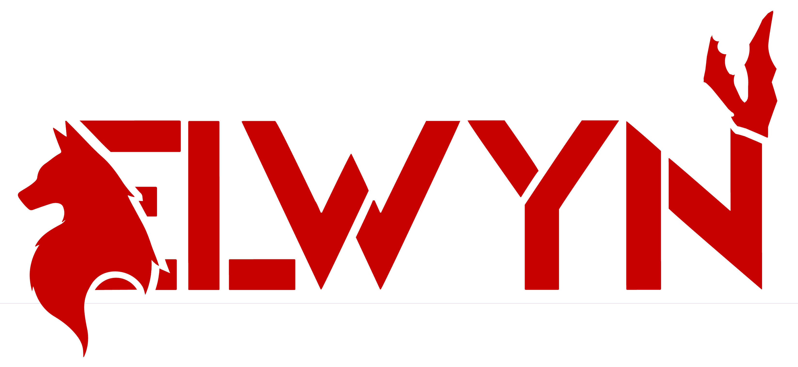 Elwyn Interactive